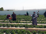  صور: أحباب الأقصى من يافا تُنظم رحلة ترفيهية الى قلنسوة